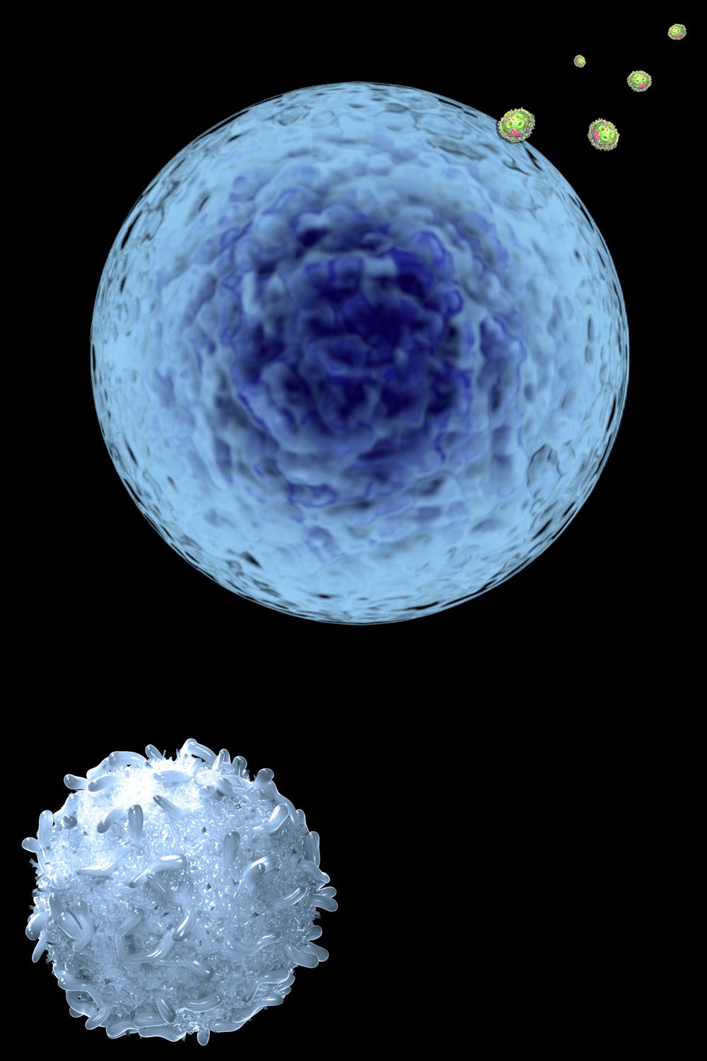 Cloaked cancer cell and lipid nanoparticles