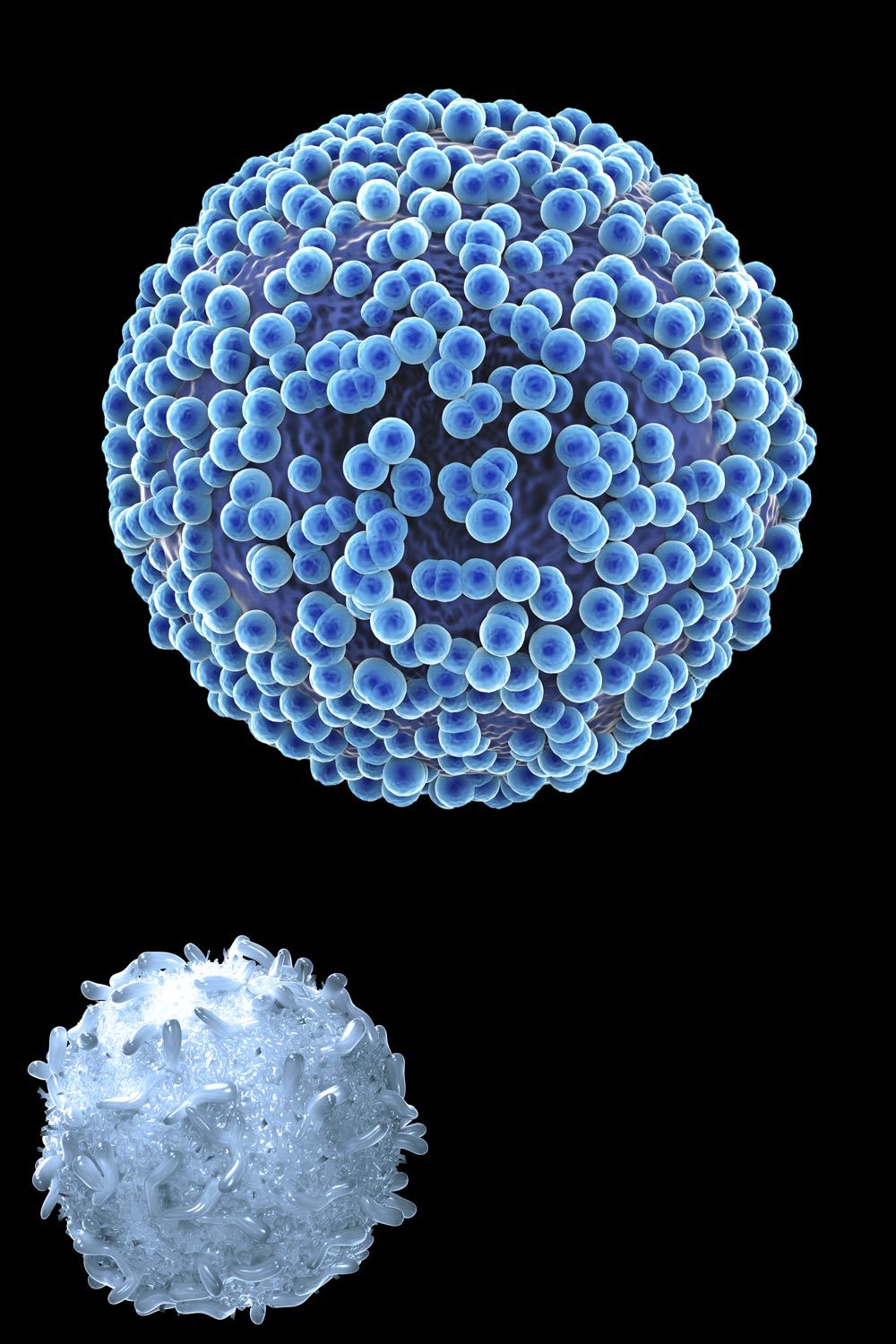 Resurfaced cancer cell