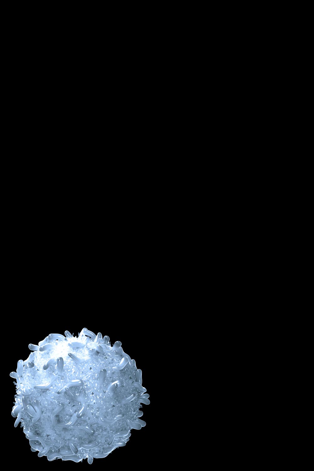 T Cell 